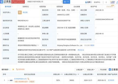 东华软件于新疆新设子公司,注册资本3亿元